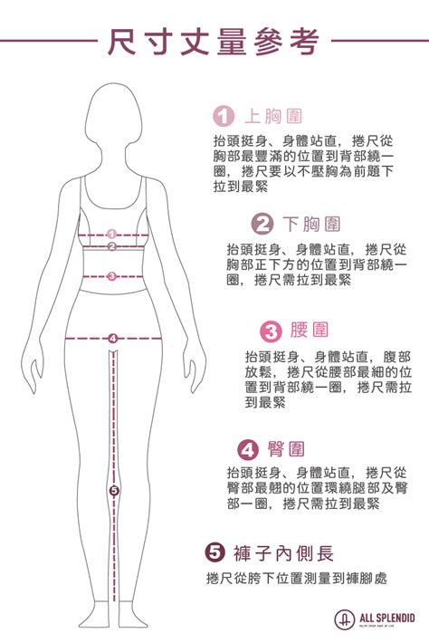 腰圍 身高|腰圍怎麼量？腰圍換算尺寸表、胸圍、臀圍怎麼量一次看